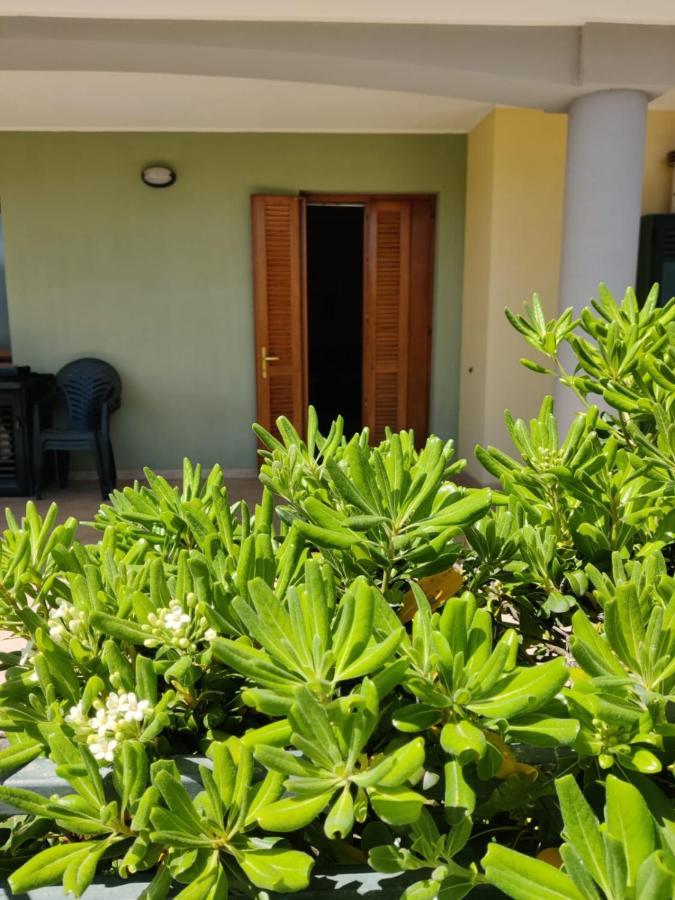 Appartamento Da Carlo 2 Alghero Exterior foto